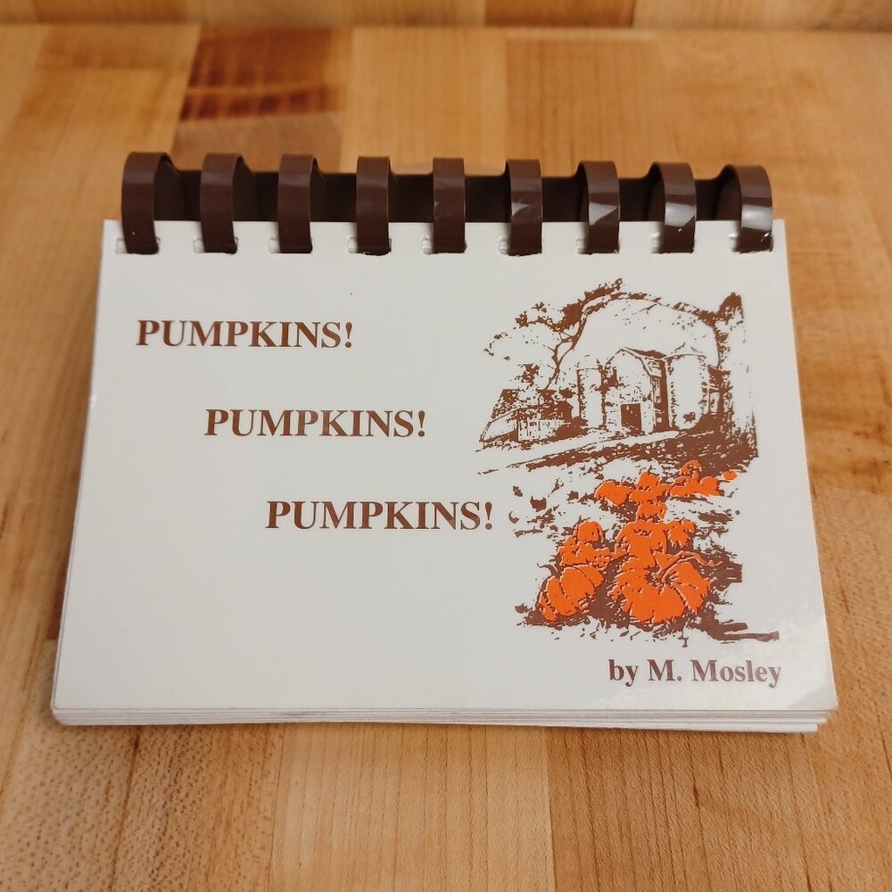 Vintage 90s Pumpkin Cookbook, Recipe Book, Pocket Size